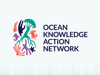 New Brand Identity for the Ocean Knowledge Action Network
